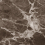 010100001557 - фото 3
