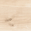 WN4T303 - фото 1