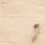 WN4T303 - фото 6