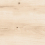WN4T303 - фото 8