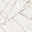 EXM102/NS_R9/60x120x9R/GW - фото 1