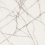 EXM102/NS_R9/60x120x9R/GW - фото 5