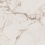 EXM101/NS_R9/60x120x9R/GW - фото 1