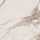 EXM101/NS_R9/60x120x9R/GW - фото 4