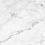SG014620R - фото 1