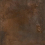SG015220R - фото 1