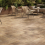 Italon Natural Life Wood X2 - фото 3