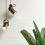 Coliseumgres Lifestyle - фото 28
