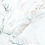 QVL4606C - фото 1