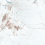 QVL4606C - фото 2