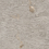 SHS4446M - фото 1