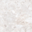 NTTVL99847D - фото 6