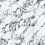 NTT3013P - фото 2