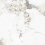 NTT3014P - фото 1