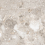 NTTVL99846D - фото 1