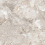 NTTVL99846D - фото 2