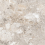 NTTVL99846D - фото 5