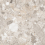 NTTVL99846D - фото 7