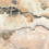 L315651MF6 - фото 1