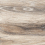 BG00/NR_R10/14,6x60x8R/GW - фото 3