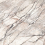 PF60017514 - фото 1
