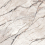 PF60017514 - фото 2
