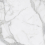 MN01/NS_NC/60x120x10R/GW - фото 4