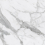MN01/NS_NC/60x120x10R/GW - фото 6