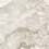 D120256LG - фото 2