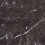NTTHS99810K - фото 1