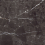 NTTHS99810K - фото 2