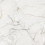 NTTVL99623MA - фото 1