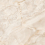 GFU60120NVD40L - фото 2