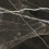 LU628631 - фото 2