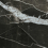LU628631 - фото 1
