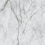 TP453611D - фото 1