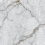TP453611D - фото 4