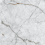TP453611D - фото 6