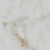 TP453612D - фото 8