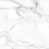 SM01/NS_NC/60x120x10R/GW - фото 3