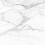 SM01/NS_NC/60x120x10R/GW - фото 4