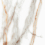 SM03/PS_NC/60x60x10R/GW - фото 7