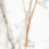 SM03/NS_R9/60x60x10R/GW - фото 4