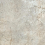 255  - фото 1