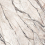 PF60017225 - фото 1