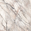PF60017225 - фото 2
