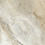 GFU6060VLC04L  - фото 5