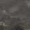 D120254L - фото 10