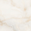 E2050821120G - фото 1