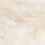 CAS1ORIOPPPA - фото 1